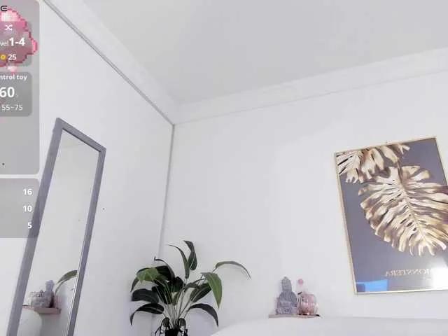 Freechat amina-hafssa on BongaCams