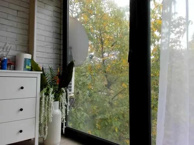 Offline BritneyCharm on BongaCams