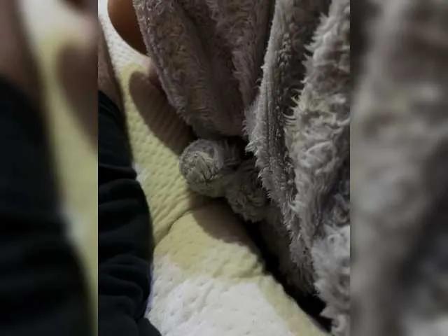 BongaCams dualdesire0405 is Freechat dualdesire0405 — Freechat on BongaCams