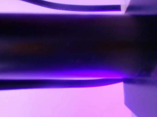 gabry-leone on BongaCams