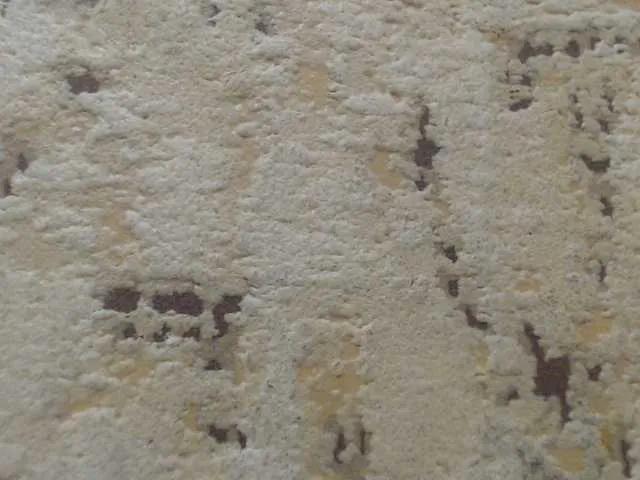 moxxito on BongaCams