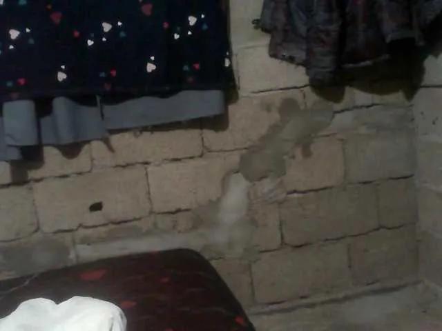 naomiyfabian on BongaCams