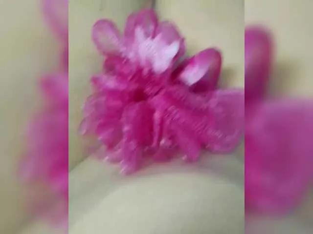 StacyMilk on BongaCams