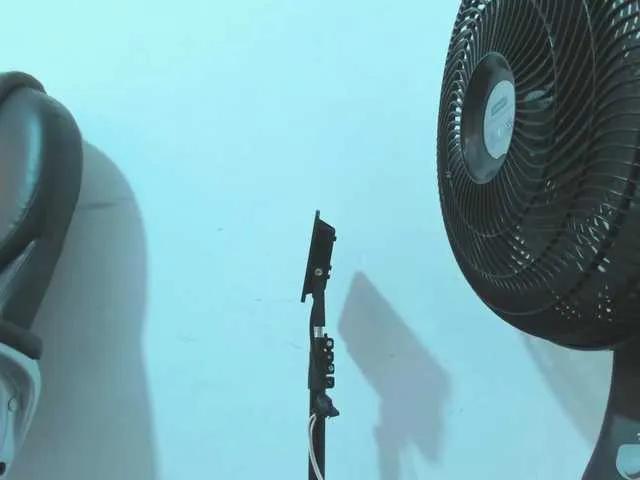 violeta-delavega1 on BongaCams