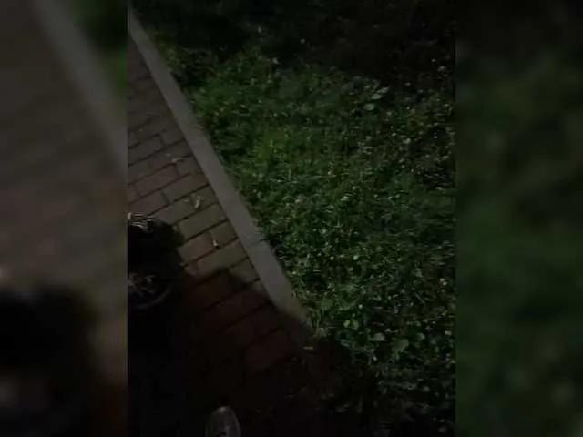 wild-love1 on BongaCams