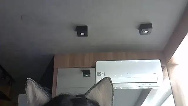 Freechat SkinnyKitten on StripChat