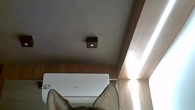 Freechat SkinnyKitten on StripChat