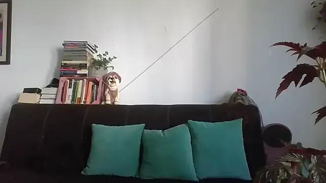 Freechat Tiramisu89 on StripChat