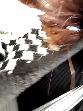 xiaoliansweet on StripChat